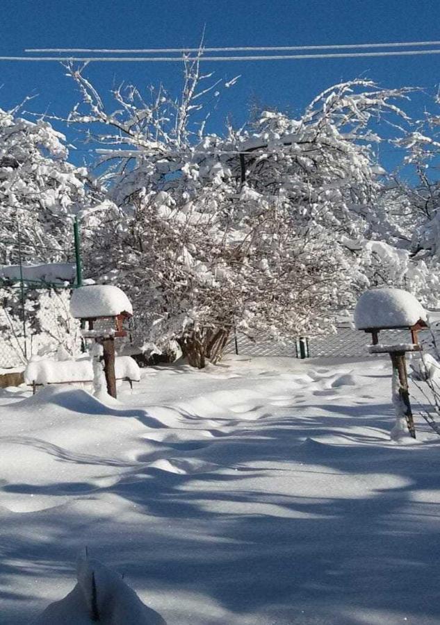 Bat'Kivska Hata Stari Kuty エクステリア 写真